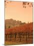 Silver Oak Cellars Winery and Vineyard, Alexander Valley, Mendocino County, California, USA-John Alves-Mounted Premium Photographic Print