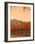 Silver Oak Cellars Winery and Vineyard, Alexander Valley, Mendocino County, California, USA-John Alves-Framed Photographic Print