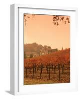 Silver Oak Cellars Winery and Vineyard, Alexander Valley, Mendocino County, California, USA-John Alves-Framed Photographic Print
