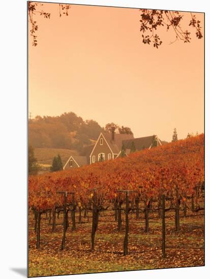 Silver Oak Cellars Winery and Vineyard, Alexander Valley, Mendocino County, California, USA-John Alves-Mounted Photographic Print