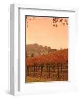 Silver Oak Cellars Winery and Vineyard, Alexander Valley, Mendocino County, California, USA-John Alves-Framed Photographic Print