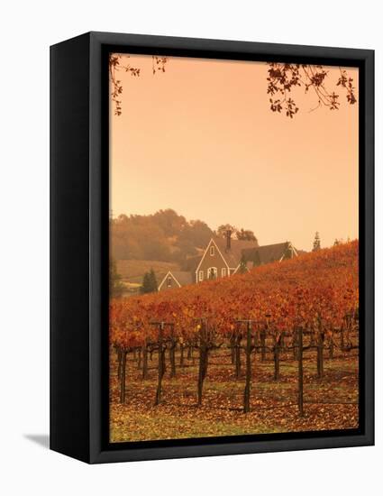 Silver Oak Cellars Winery and Vineyard, Alexander Valley, Mendocino County, California, USA-John Alves-Framed Stretched Canvas