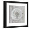 Silver Parachute-Gerard Beauvoir-Framed Art Print