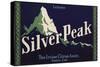 Silver Peak Brand - Tustin, California - Citrus Crate Label-Lantern Press-Stretched Canvas