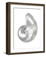 Silver Pearl Shell I-Caroline Kelly-Framed Art Print