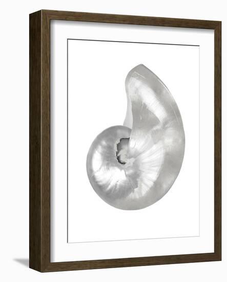 Silver Pearl Shell I-Caroline Kelly-Framed Art Print