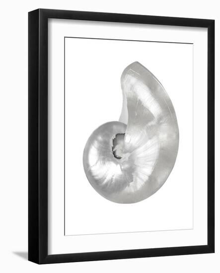 Silver Pearl Shell I-Caroline Kelly-Framed Art Print