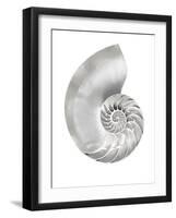 Silver Pearl Shell II-Caroline Kelly-Framed Art Print