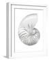 Silver Pearl Shell III-Caroline Kelly-Framed Art Print