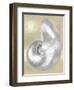 Silver Pearl Shell on Gold I-Caroline Kelly-Framed Art Print