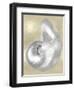 Silver Pearl Shell on Gold I-Caroline Kelly-Framed Art Print