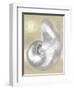 Silver Pearl Shell on Gold I-Caroline Kelly-Framed Art Print