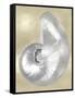 Silver Pearl Shell on Gold I-Caroline Kelly-Framed Stretched Canvas