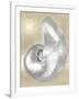 Silver Pearl Shell on Gold I-Caroline Kelly-Framed Art Print