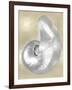 Silver Pearl Shell on Gold I-Caroline Kelly-Framed Art Print