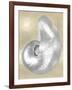 Silver Pearl Shell on Gold I-Caroline Kelly-Framed Art Print