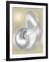 Silver Pearl Shell on Gold I-Caroline Kelly-Framed Art Print