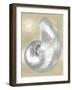 Silver Pearl Shell on Gold I-Caroline Kelly-Framed Art Print