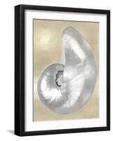 Silver Pearl Shell on Gold I-Caroline Kelly-Framed Art Print