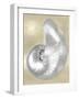 Silver Pearl Shell on Gold I-Caroline Kelly-Framed Art Print