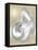 Silver Pearl Shell on Gold I-Caroline Kelly-Framed Stretched Canvas