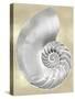 Silver Pearl Shell on Gold II-Caroline Kelly-Stretched Canvas