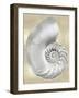 Silver Pearl Shell on Gold II-Caroline Kelly-Framed Art Print