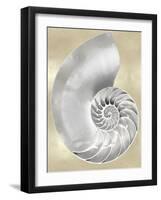 Silver Pearl Shell on Gold II-Caroline Kelly-Framed Art Print