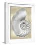 Silver Pearl Shell on Gold II-Caroline Kelly-Framed Art Print