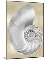 Silver Pearl Shell on Gold II-Caroline Kelly-Mounted Art Print