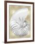 Silver Pearl Shell on Gold III-Caroline Kelly-Framed Art Print