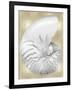 Silver Pearl Shell on Gold III-Caroline Kelly-Framed Art Print