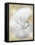 Silver Pearl Shell on Gold III-Caroline Kelly-Framed Stretched Canvas