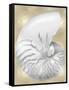 Silver Pearl Shell on Gold III-Caroline Kelly-Framed Stretched Canvas