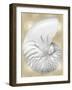 Silver Pearl Shell on Gold III-Caroline Kelly-Framed Art Print