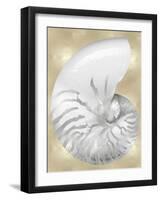 Silver Pearl Shell on Gold III-Caroline Kelly-Framed Art Print