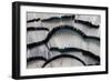 Silver Pheasant Fanned Out Feathers-Darrell Gulin-Framed Photographic Print