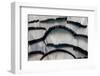 Silver Pheasant Fanned Out Feathers-Darrell Gulin-Framed Photographic Print