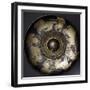 Silver Phiale Depicting Chariot Race in Gold-null-Framed Giclee Print