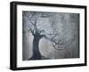 Silver Pond-Sydney Edmunds-Framed Giclee Print