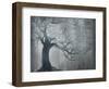 Silver Pond-Sydney Edmunds-Framed Giclee Print