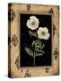 Silver Poppy-Regina-Andrew Design-Stretched Canvas