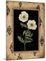 Silver Poppy-Regina-Andrew Design-Mounted Art Print