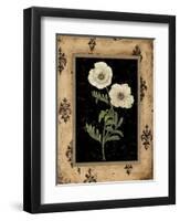 Silver Poppy-Regina-Andrew Design-Framed Art Print