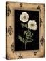 Silver Poppy-Regina-Andrew Design-Stretched Canvas