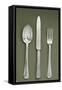 Silver Presentation Cutlery Spoon, Knife and Fork-null-Framed Stretched Canvas