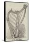 Silver Prize Harp-null-Framed Stretched Canvas