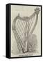 Silver Prize Harp-null-Framed Stretched Canvas