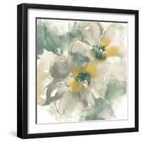 Silver Quince I on White-Chris Paschke-Framed Art Print