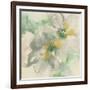 Silver Quince I Teal-Chris Paschke-Framed Art Print